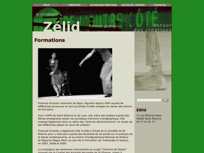 Site web zelid.fr, graphisme, developpement, web